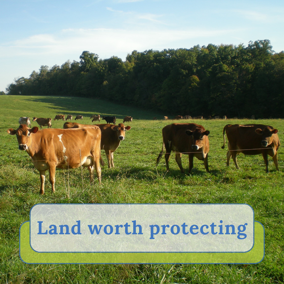 Land worth protecting