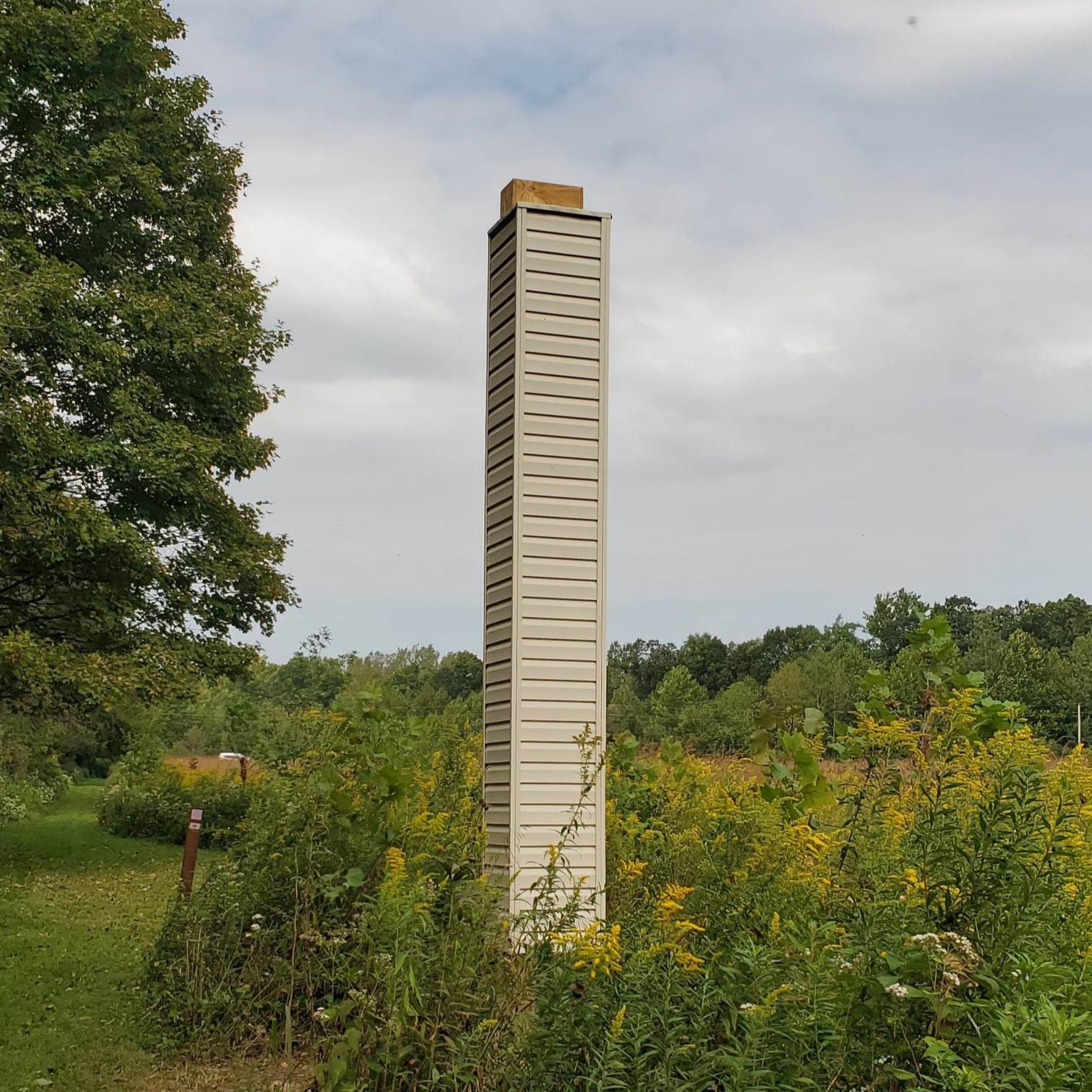 Flight of the Chimney Swifts - Owl Creek Conservancy