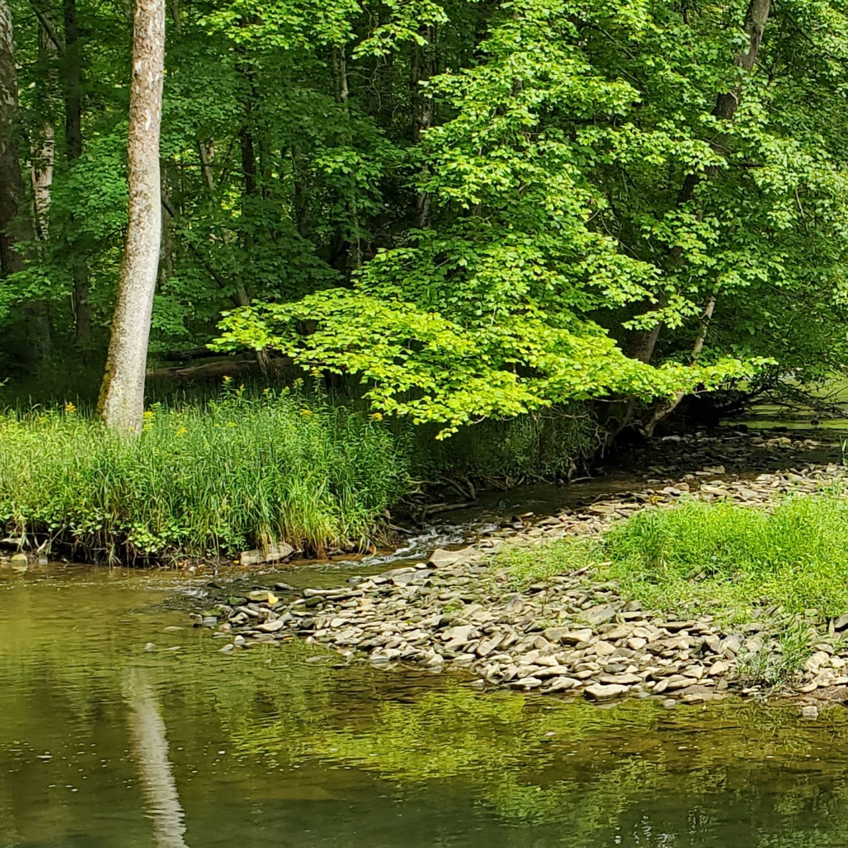 About the Conservancy - Owl Creek Conservancy